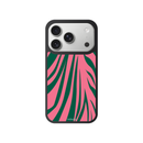 Wild zebra